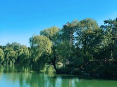 -北京大学赛克勒考古与艺术博物馆