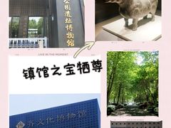-齐文化博物馆