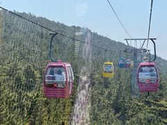 -摩天岭风景区