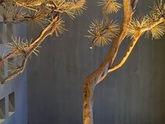 -春熙台韩国料理·章鱼肥牛(西丽店)