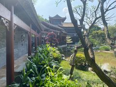 -顺峰山公园