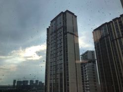 -南京市儿童医院(河西院区)