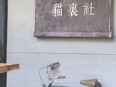 -猫里有甜