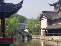-鲁镇
