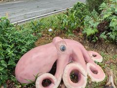 -巴拉湾海滩