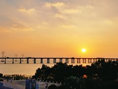 -宝安西湾红树林湿地公园