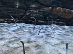 -厦门海底世界