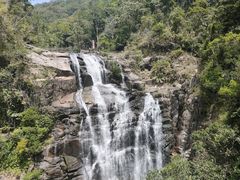 -海南热带雨林国家公园吊罗山景区