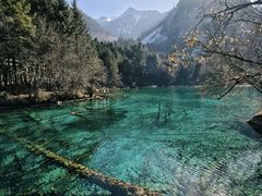 -九寨沟-树正沟