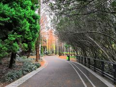 -苏州河梦清园环保主题公园