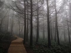 -白草畔自然风景区