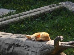 -杭州野生动物世界