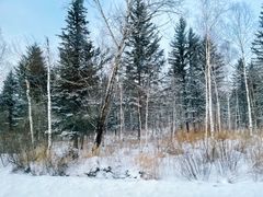 -亚布力新体委滑雪场