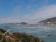 -枸杞岛