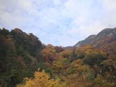 -秦岭风景区