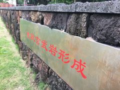 -王借岗森林公园