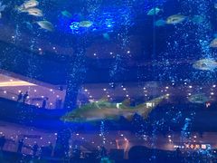 -成都浩海立方海洋公园