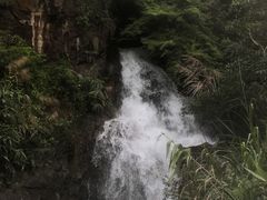-广州市流溪河国家森林公园