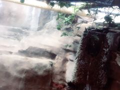 -天赐温泉