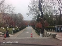 -山东师范大学(千佛山校区)