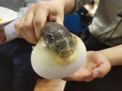 -肆月河豚·新淮扬(金融街店)