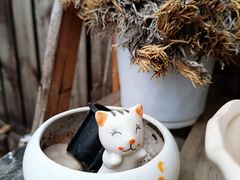 -新沙洞咖啡(泉乐坊店)