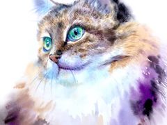 -八哥美术·成人美术画室(总校区)