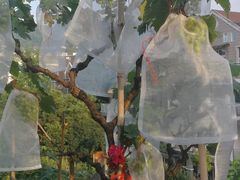 景观位-先机泉水鸡汤(南山老君洞店)
