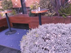 -Seesaw Coffee(深圳万象天地店)
