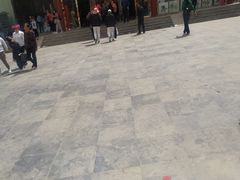 -曹州牡丹园
