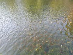 -莹珠阁·私房菜