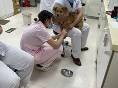 -全心全意连锁动物医院(加州店)