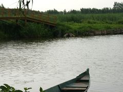 -白渔泡湿地公园
