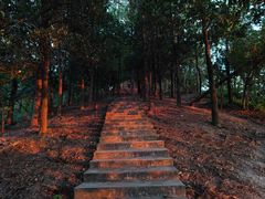 -滴水岩森林公园