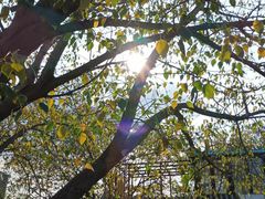 -糖房咖啡(南锣鼓巷店)