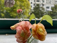 -双季花艺园艺市场(浦东店)