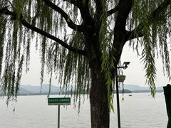 -杭州西湖柳莺里酒店