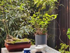 -王府茶楼茶宴·创意菜(朝阳公园店)