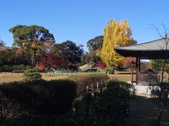 -名古屋城