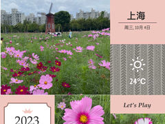 -大宁公园