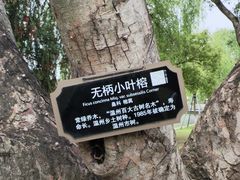 -江心屿景区