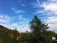-杭州花家山庄