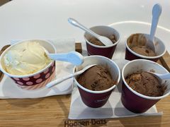 夏威夷果仁冰淇淋-哈根达斯(天河城店)