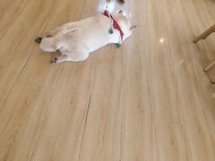 -柴の食堂·日式家庭料理·熊之肆(大学路店)