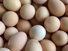 -马陆小张葡萄园农家乐