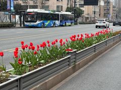 -浙江大学(玉泉校区)