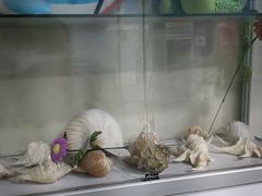 -嘉兴海底世界