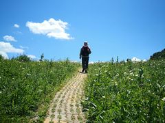 -白草畔自然风景区
