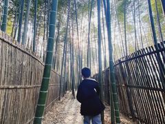 -陶祖圣境风景区