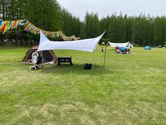 -黄海国家森林公园